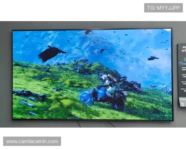 九游娱乐真人国际：不断引入最新游戏技术，提升真人娱乐的画质和流畅度，带来极致视觉享受