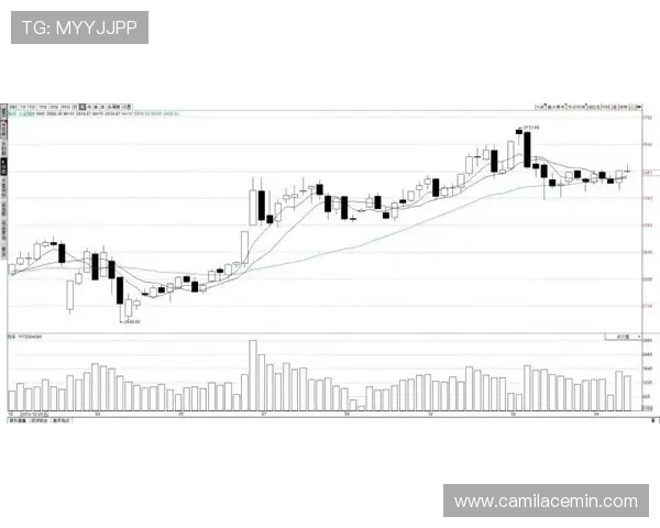 九游股份股价走势及财务表现详解为投资者提供全面决策参考 九游股份股价走势及财务表现详解为投资者提供全面决策参考